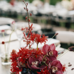 StudioMondine-Events_CamelbackMountain_027