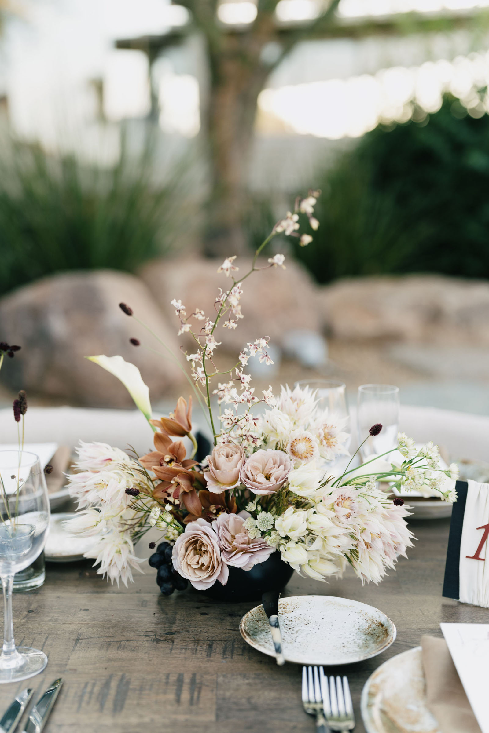 StudioMondine-Events_CamelbackMountain_030