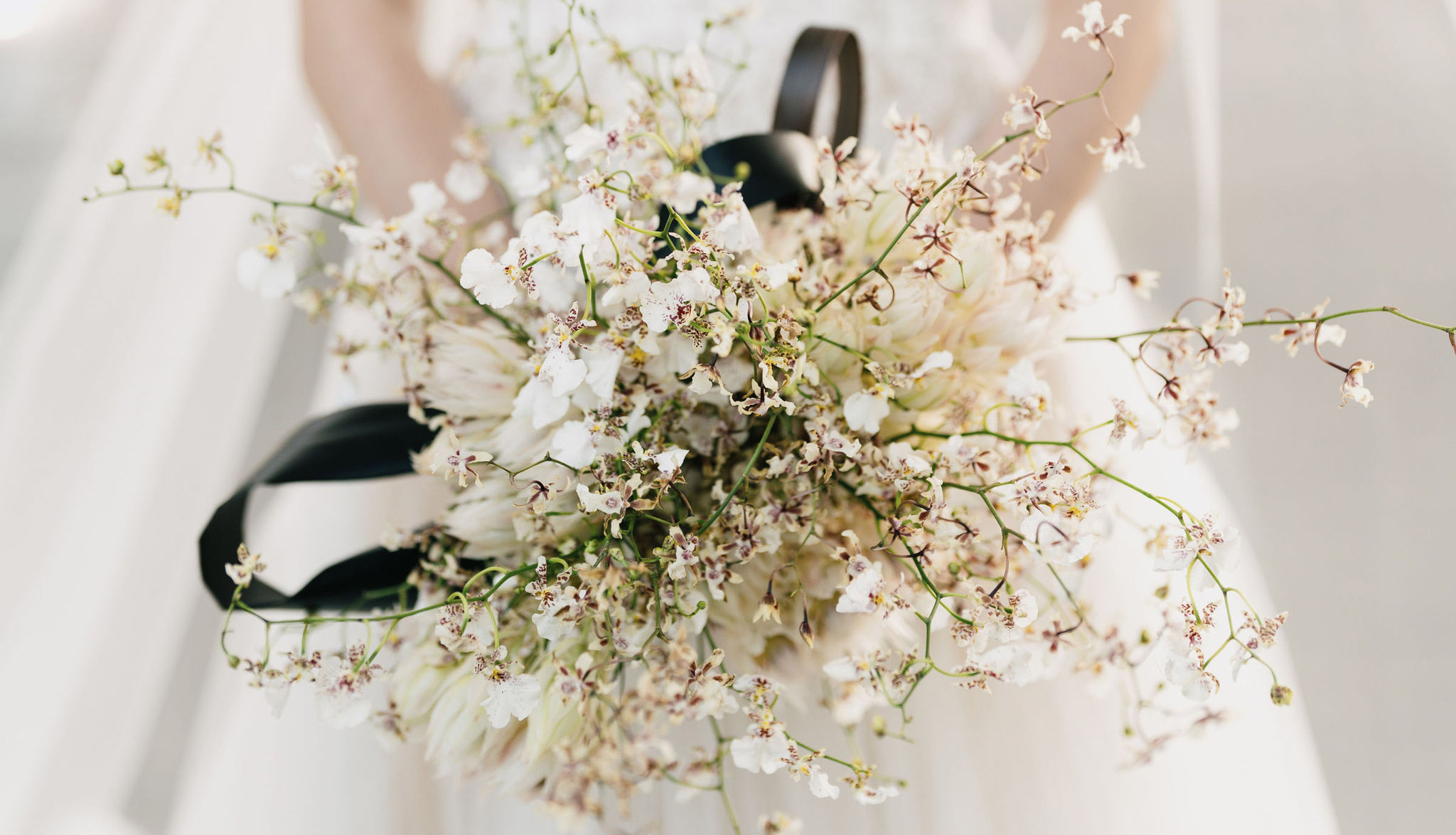 StudioMondine-Events_CamelbackMountain_Hero_01