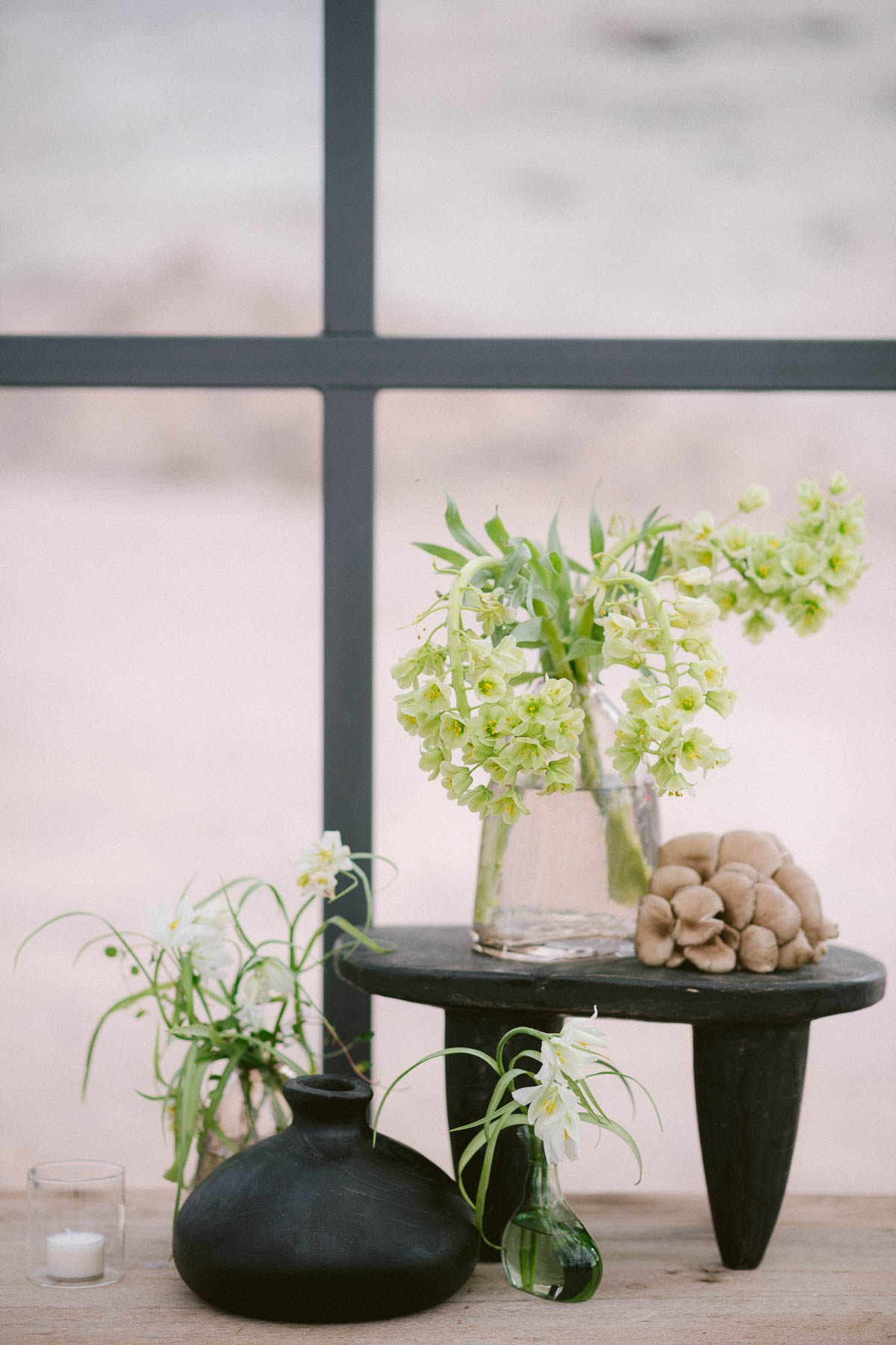 StudioMondine-Events_Extraterrestrial_002