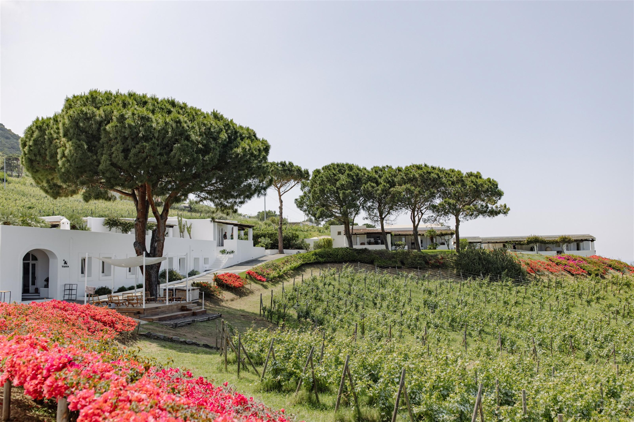 StudioMondine-Events_IsoladiSalina_013