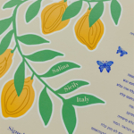 StudioMondine-Events_IsoladiSalina_017