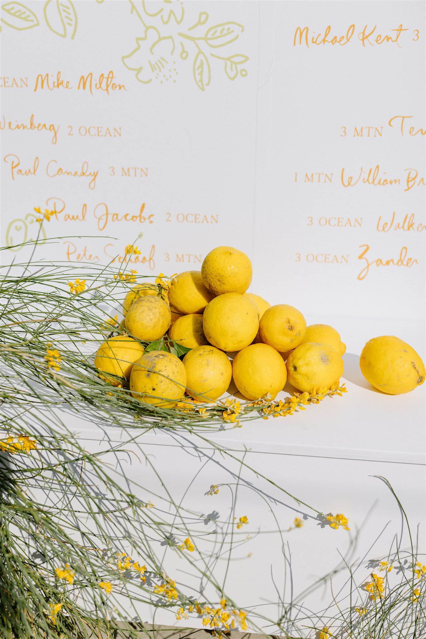 StudioMondine-Events_IsoladiSalina_021