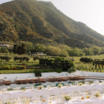 StudioMondine-Events_IsoladiSalina_042