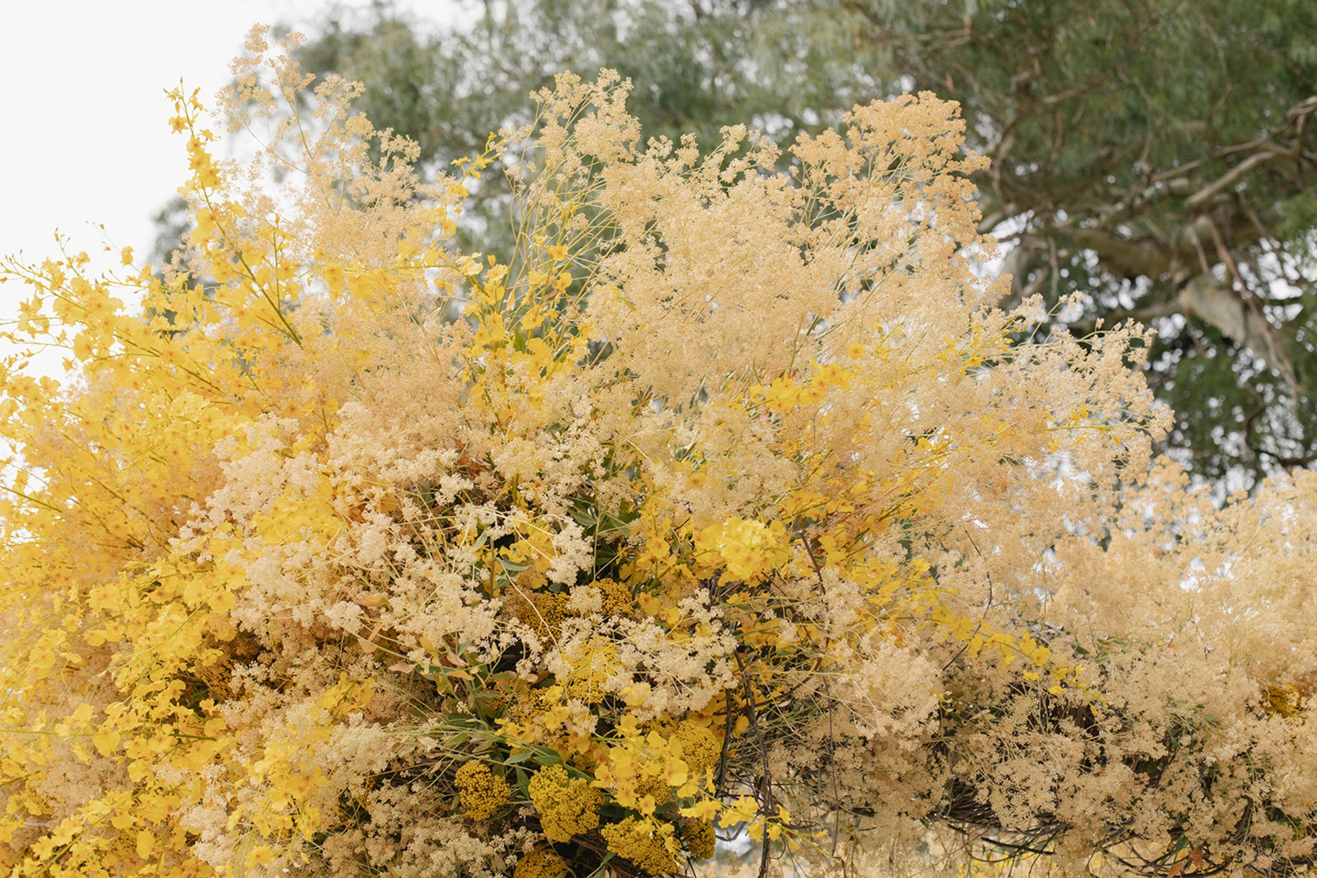 StudioMondine-Events_SaffronintheCity_026