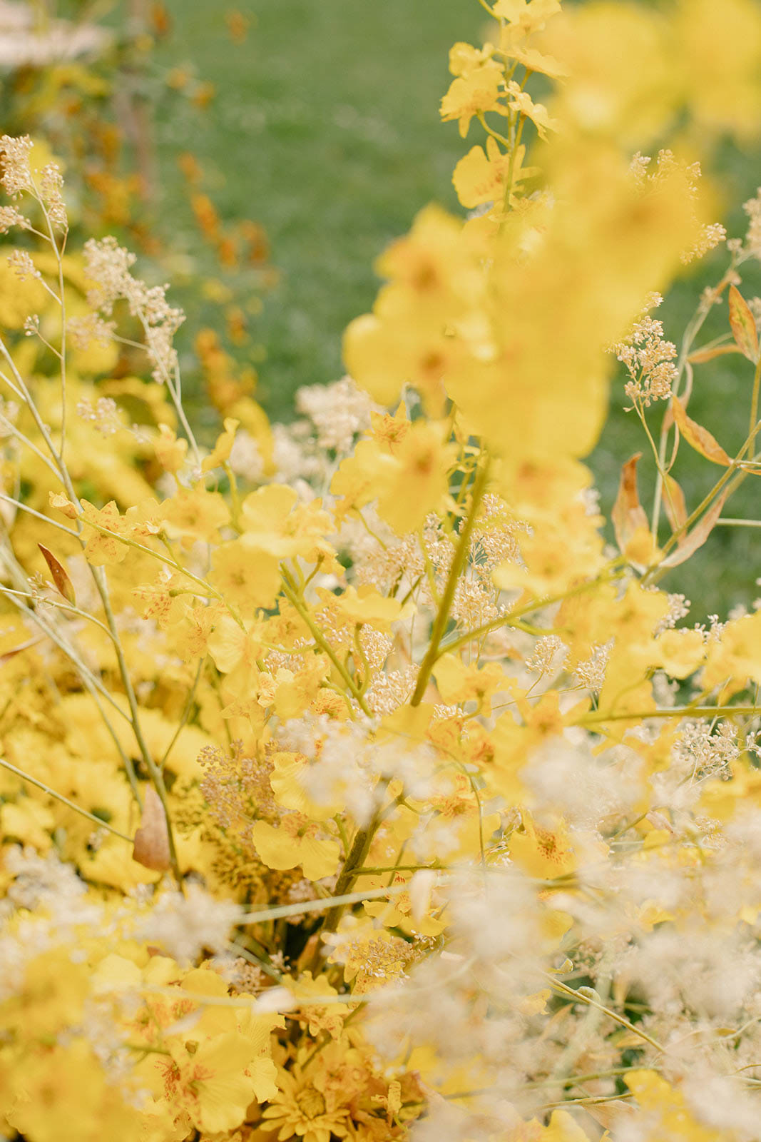 StudioMondine-Events_SaffronintheCity_028