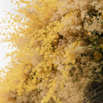 StudioMondine-Events_SaffronintheCity_033