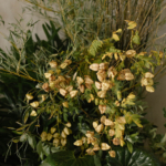 StudioMondine-Events_SaffronintheCity_044