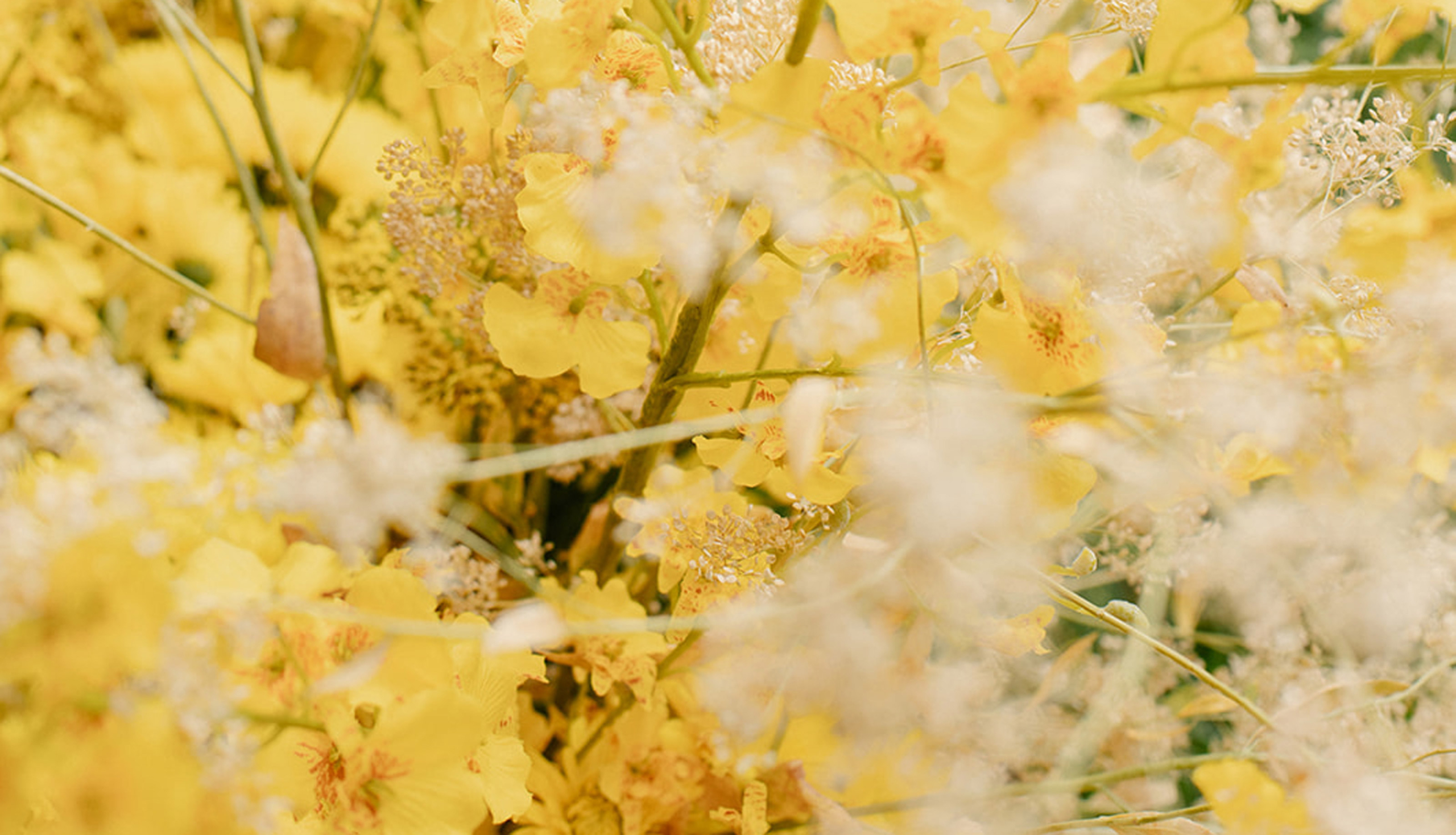 StudioMondine-Events_SaffronintheCity_Lead_01