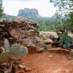 StudioMondine-Events_TaliesenWest_005