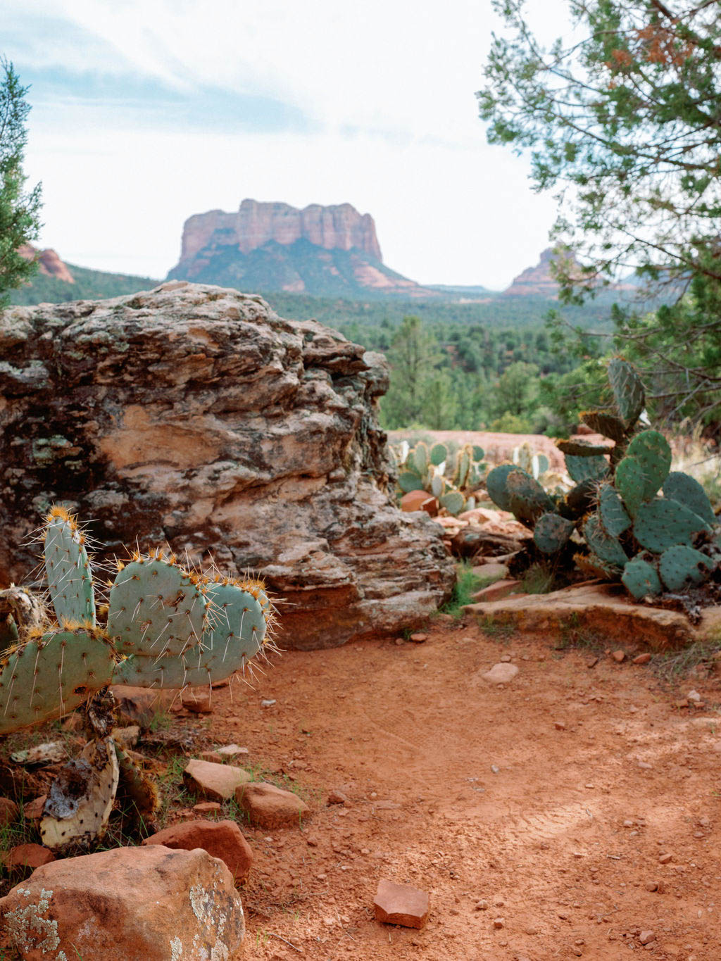 StudioMondine-Events_TaliesenWest_005