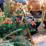 StudioMondine-Events_TaliesenWest_024