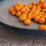 StudioMondine-Events_TaliesenWest_029
