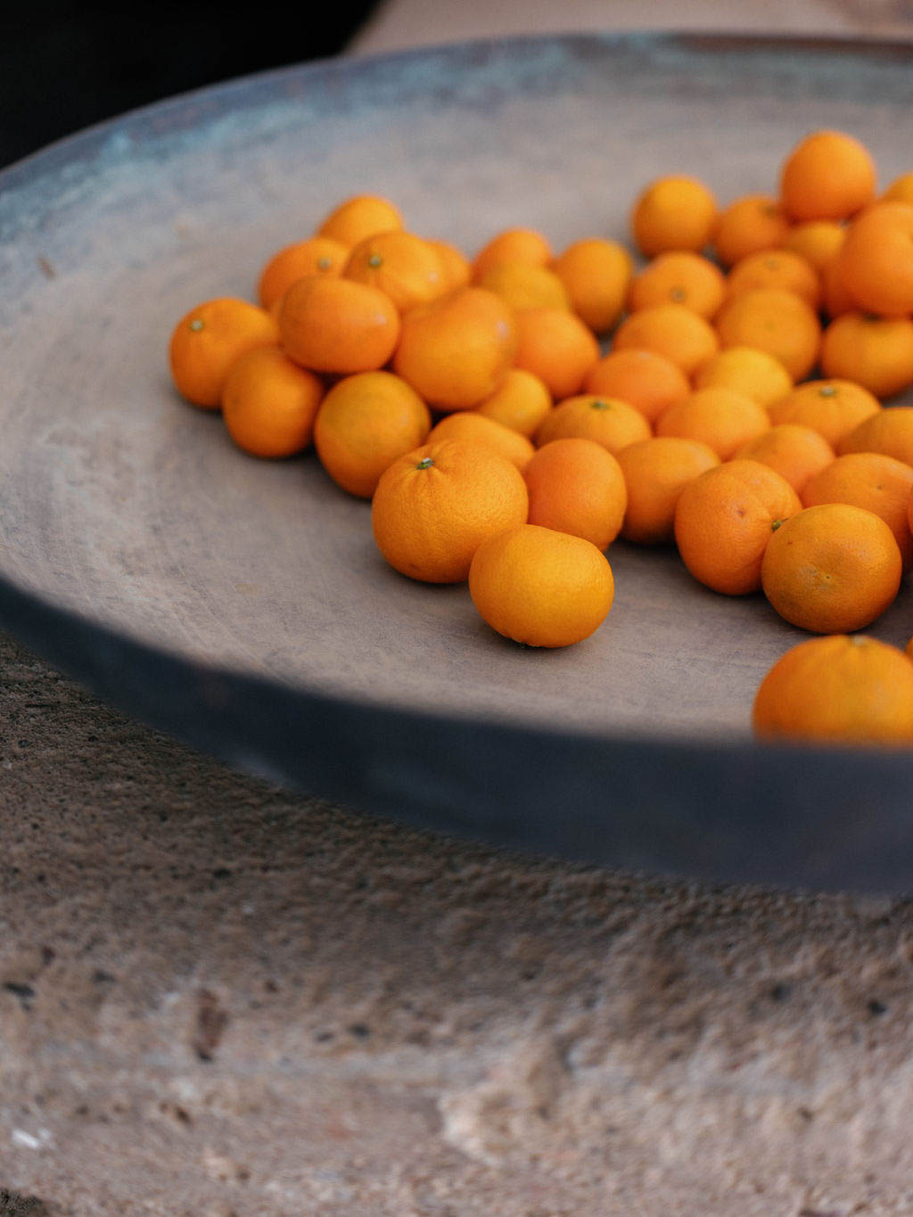 StudioMondine-Events_TaliesenWest_029