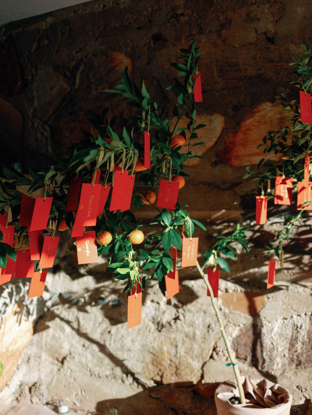 StudioMondine-Events_TaliesenWest_030