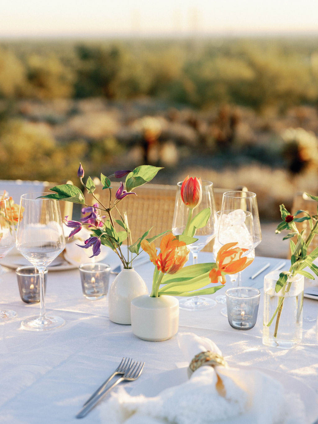 StudioMondine-Events_TaliesenWest_035