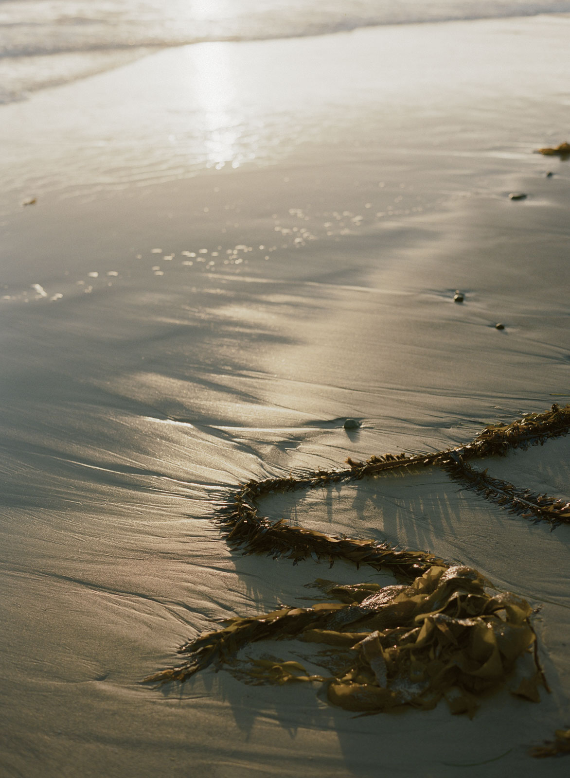 StudioMondine-Events_VillaSevillano_001