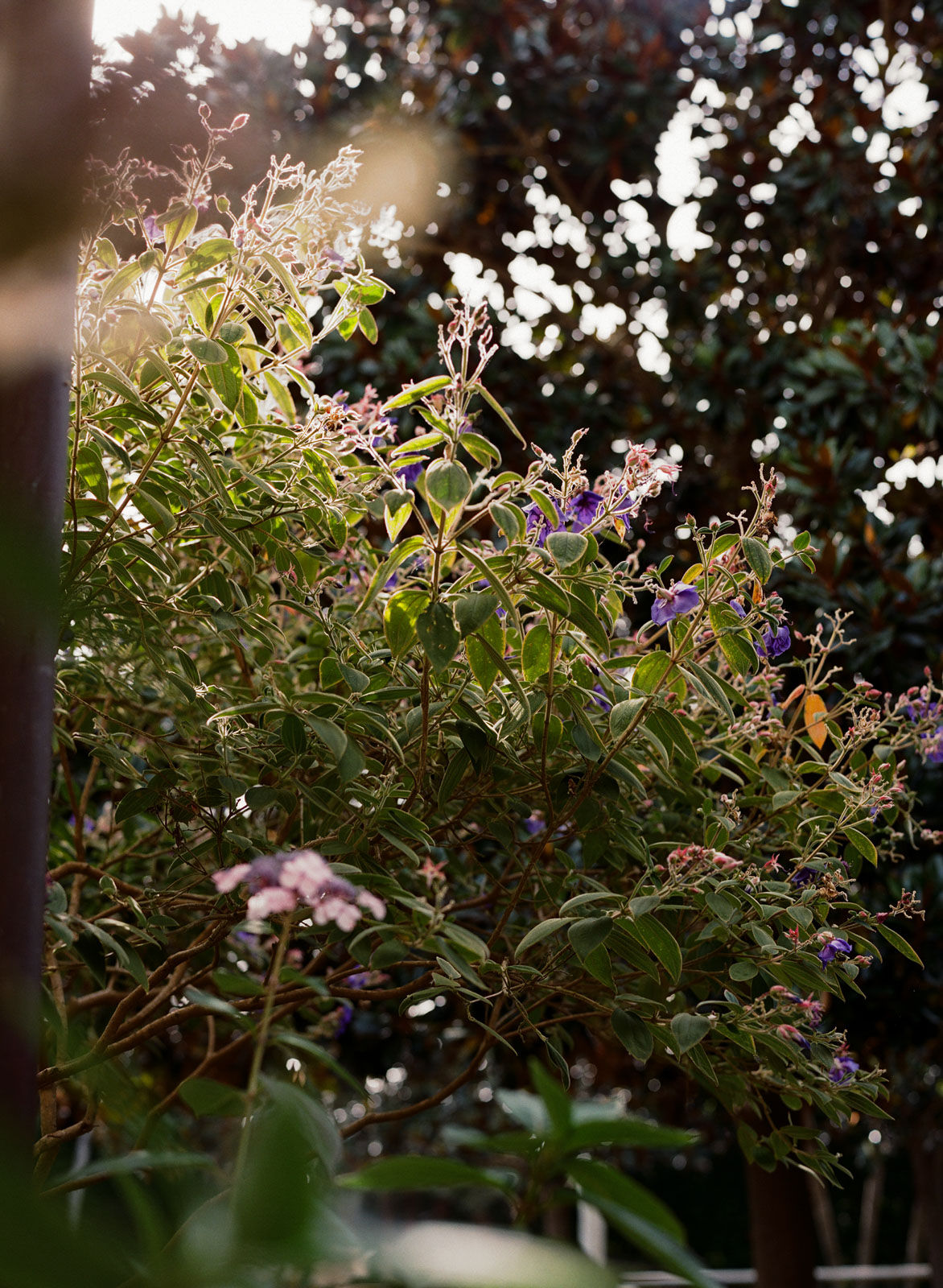 StudioMondine-Events_VillaSevillano_010