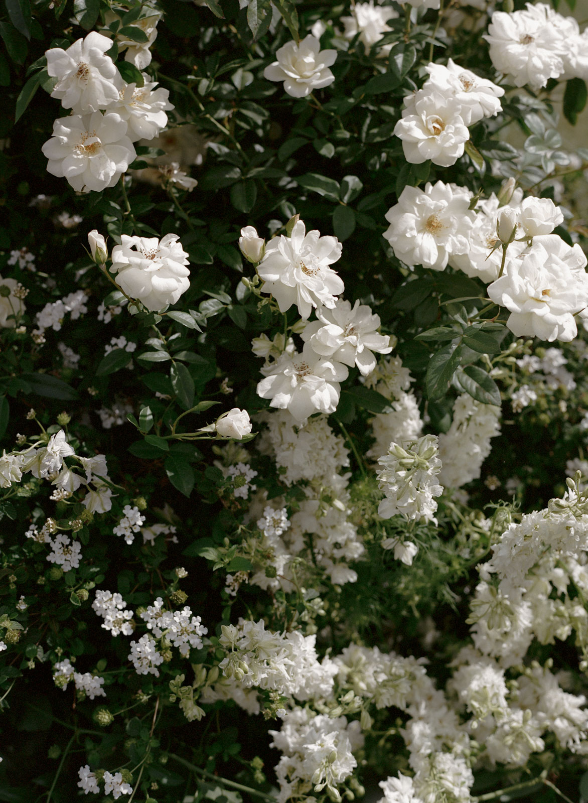 StudioMondine-Events_VillaSevillano_025