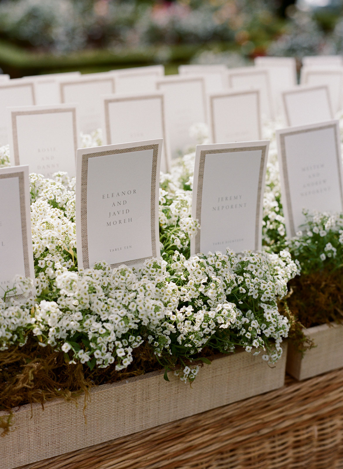 StudioMondine-Events_VillaSevillano_029