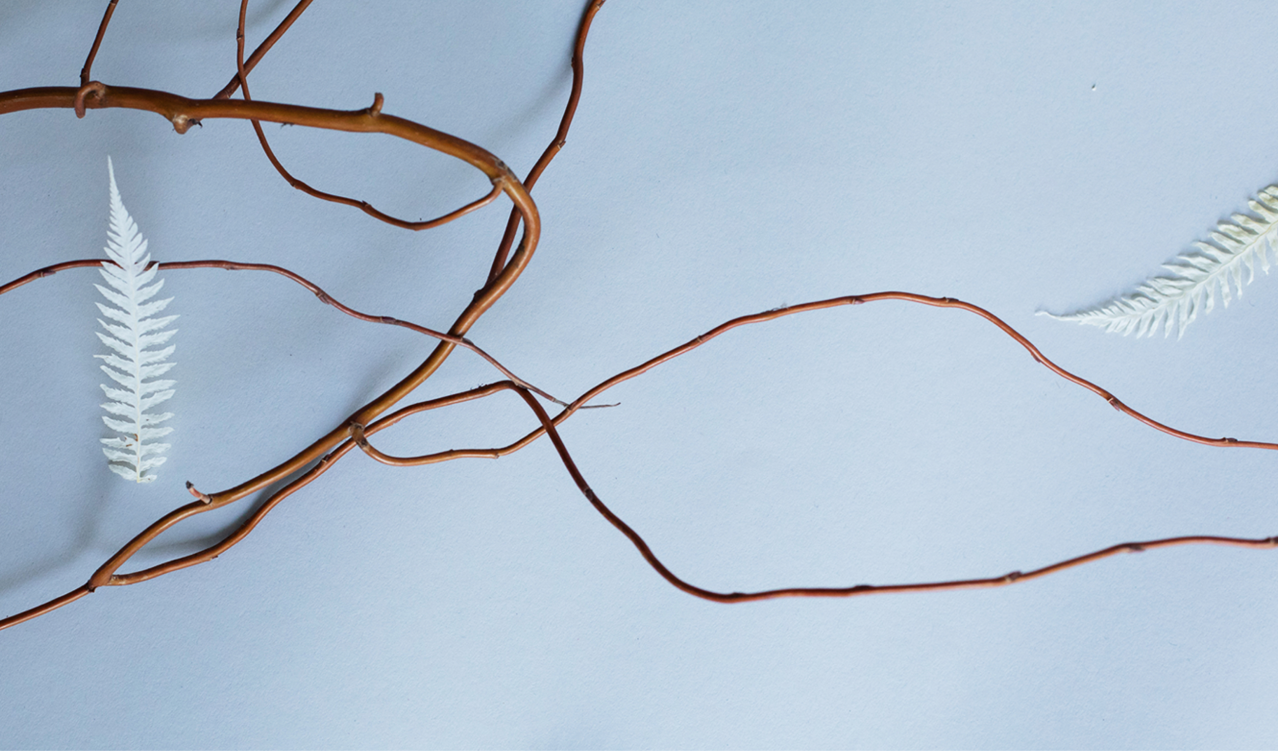 Brynn&Ness_Wedding_479 1