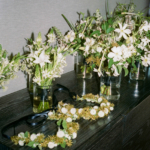 StudioMondine-Events_ASnakeIntheGarden_005