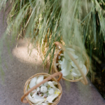 StudioMondine-Events_ASnakeIntheGarden_010