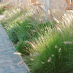 StudioMondine-Events_ASnakeIntheGarden_031