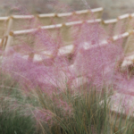 StudioMondine-Events_LivingInMystery_001