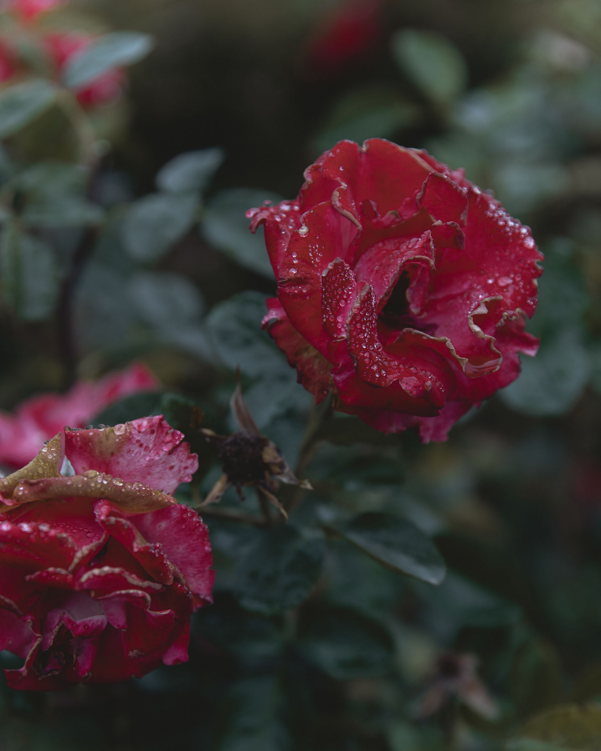 StudioMondine-Events_LivingInMystery_004