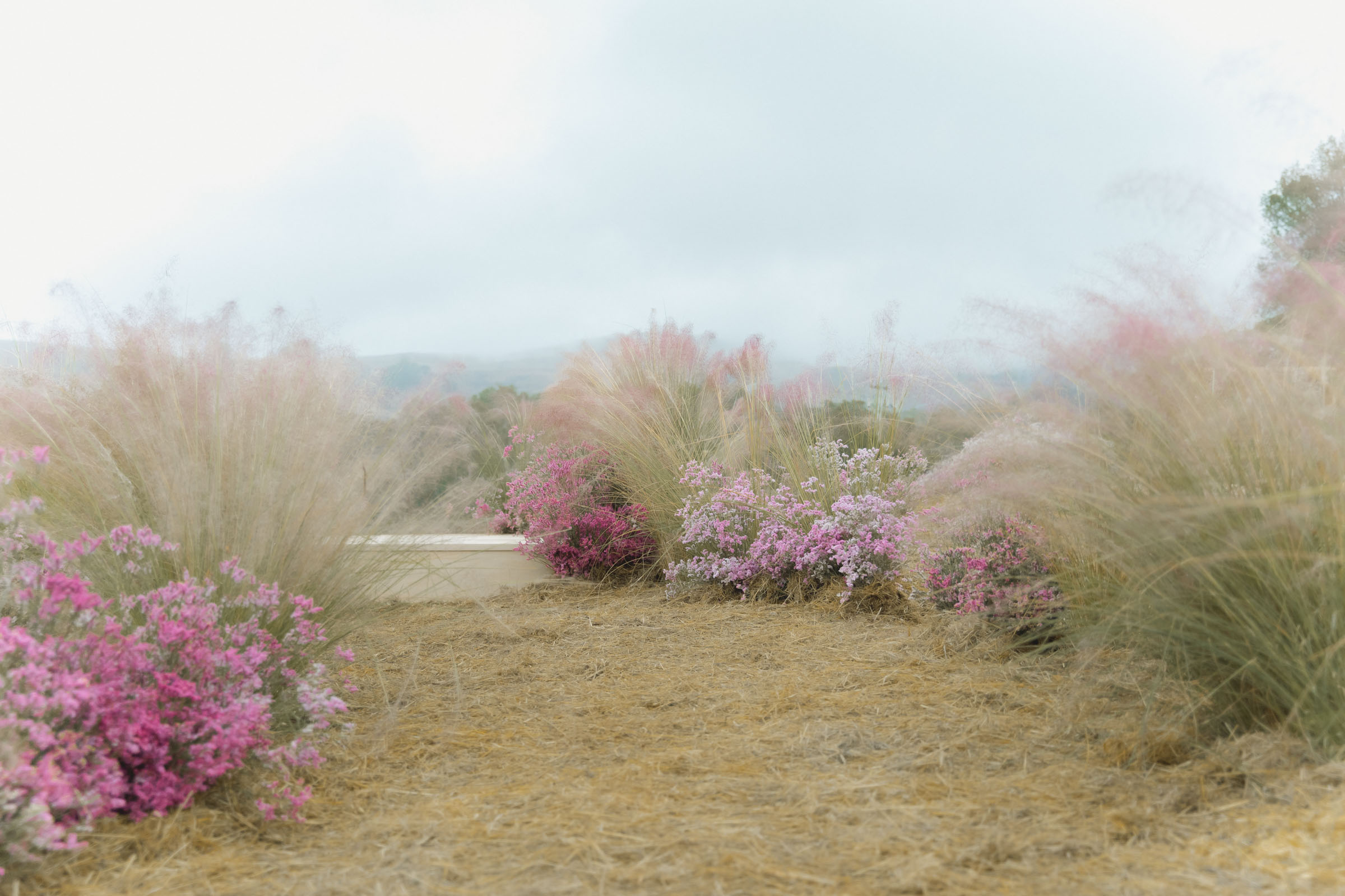 StudioMondine-Events_LivingInMystery_006