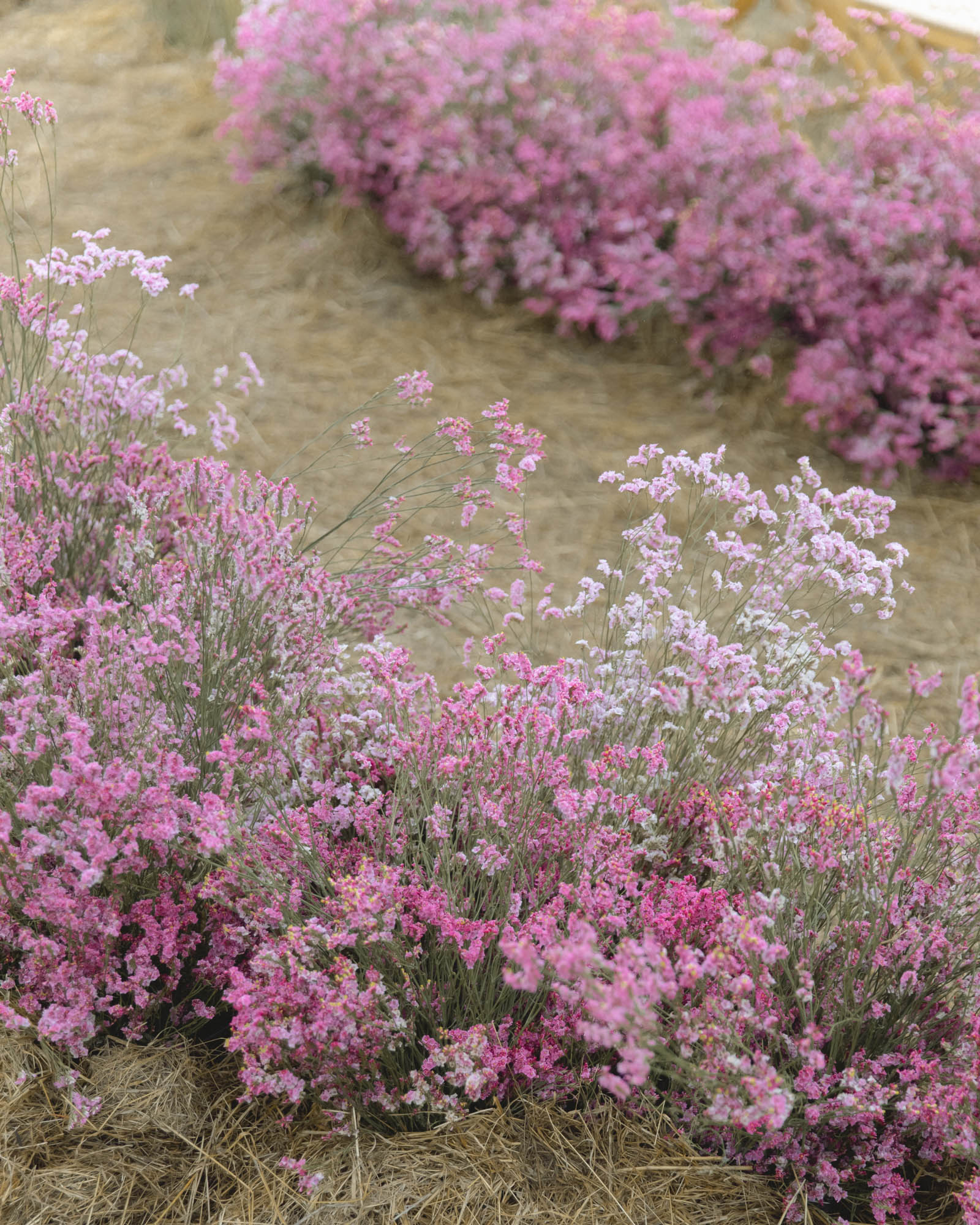 StudioMondine-Events_LivingInMystery_011B