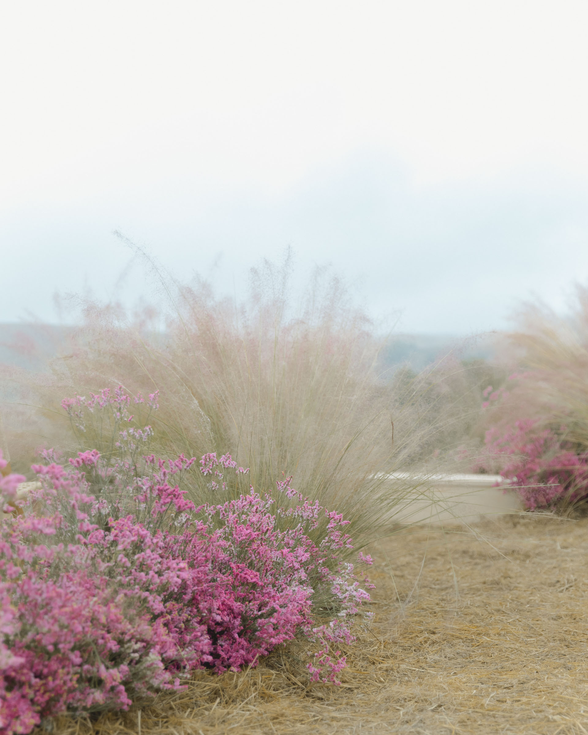 StudioMondine-Events_LivingInMystery_014