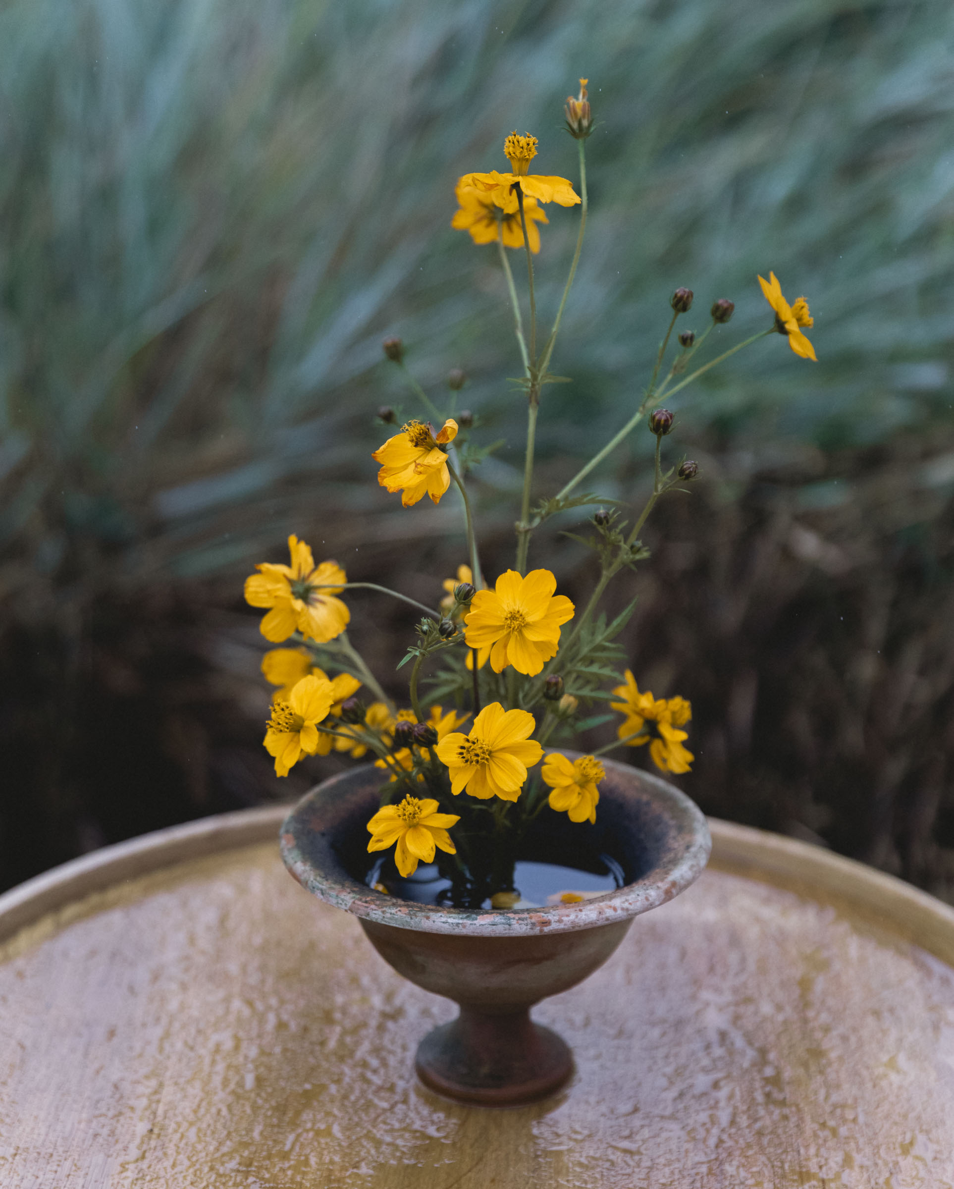 StudioMondine-Events_LivingInMystery_018