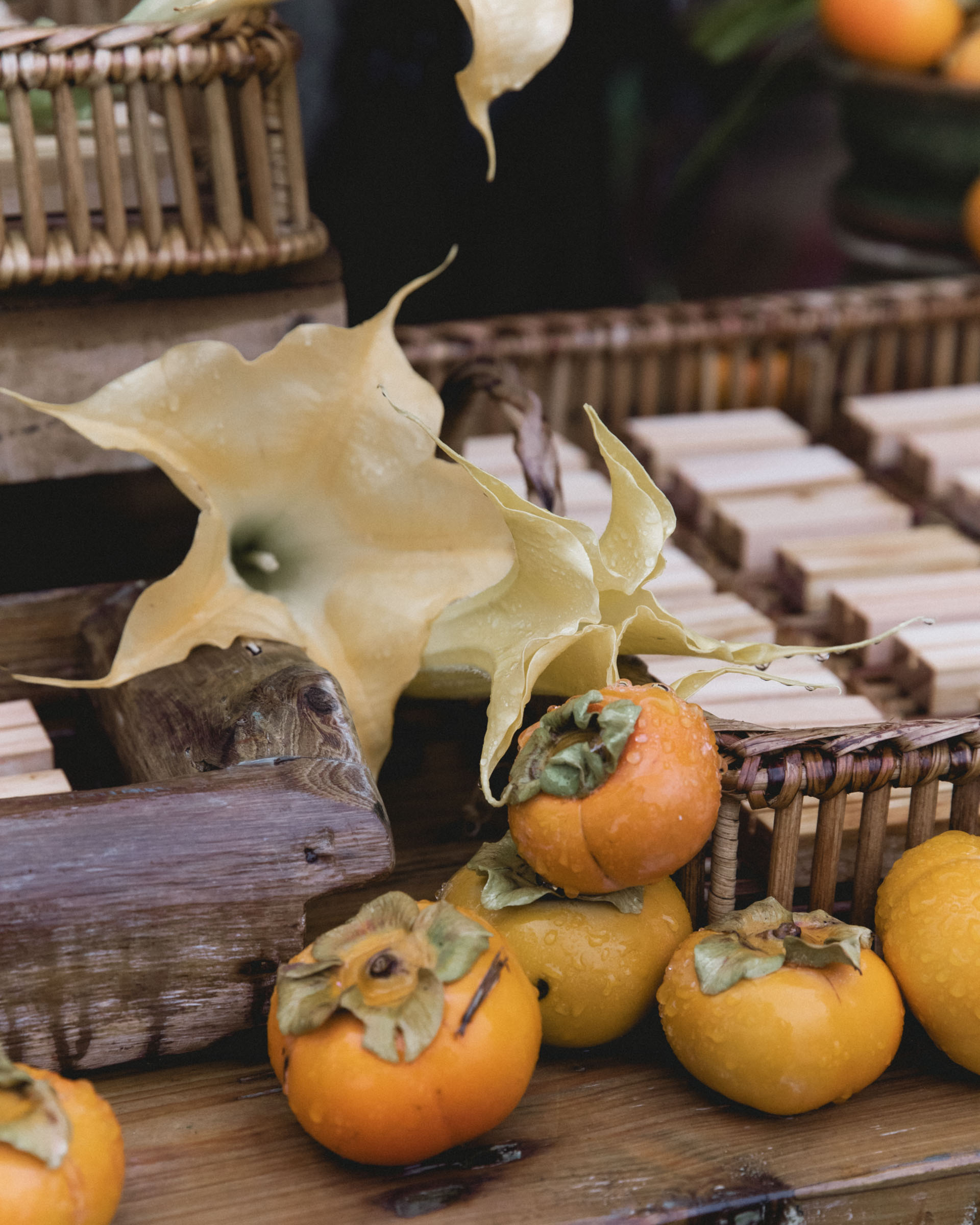 StudioMondine-Events_LivingInMystery_021