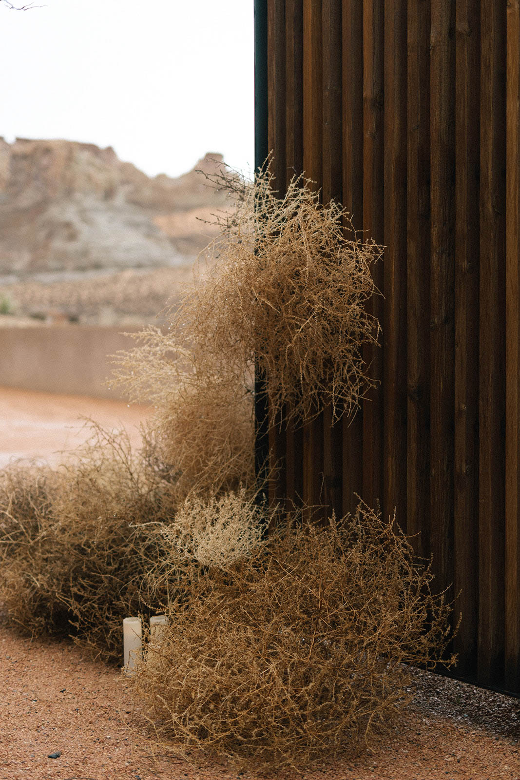 StudioMondine-Events_SpaceCowgirlDisco_026