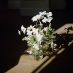 StudioMondine-Events_SunsetTower_009