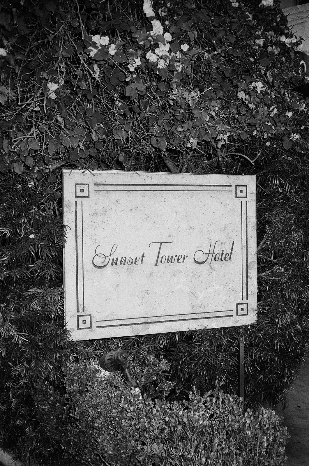 StudioMondine-Events_SunsetTower_024