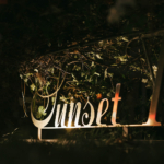 StudioMondine-Events_SunsetTower_029