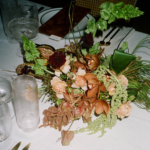 StudioMondine-Events_SunsetTower_049