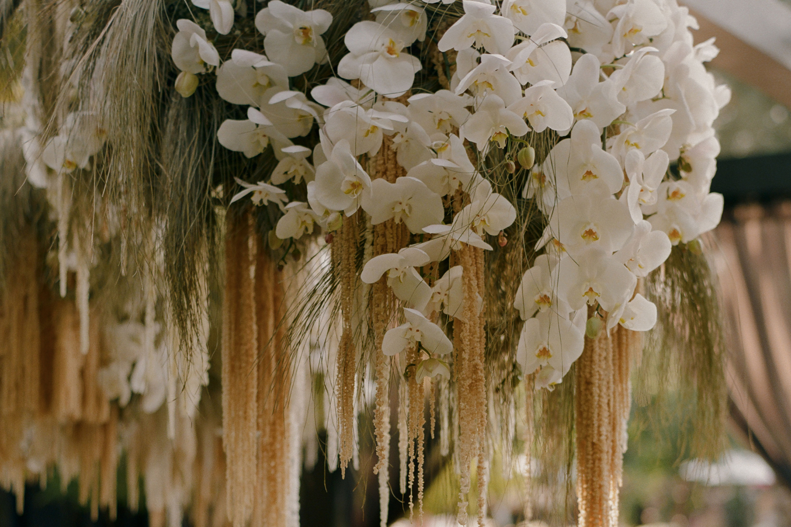 StudioMondine_Landing_02