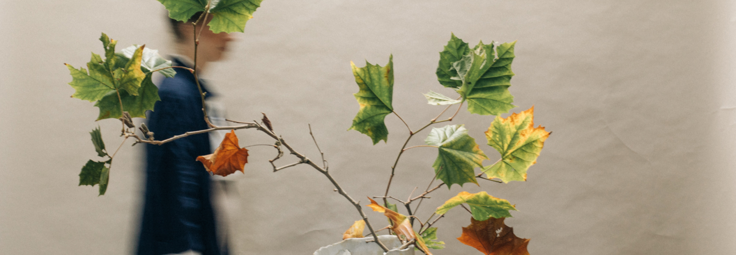 press-news-article-lead