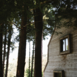 StudioMondine-Events_InTheClouds_004