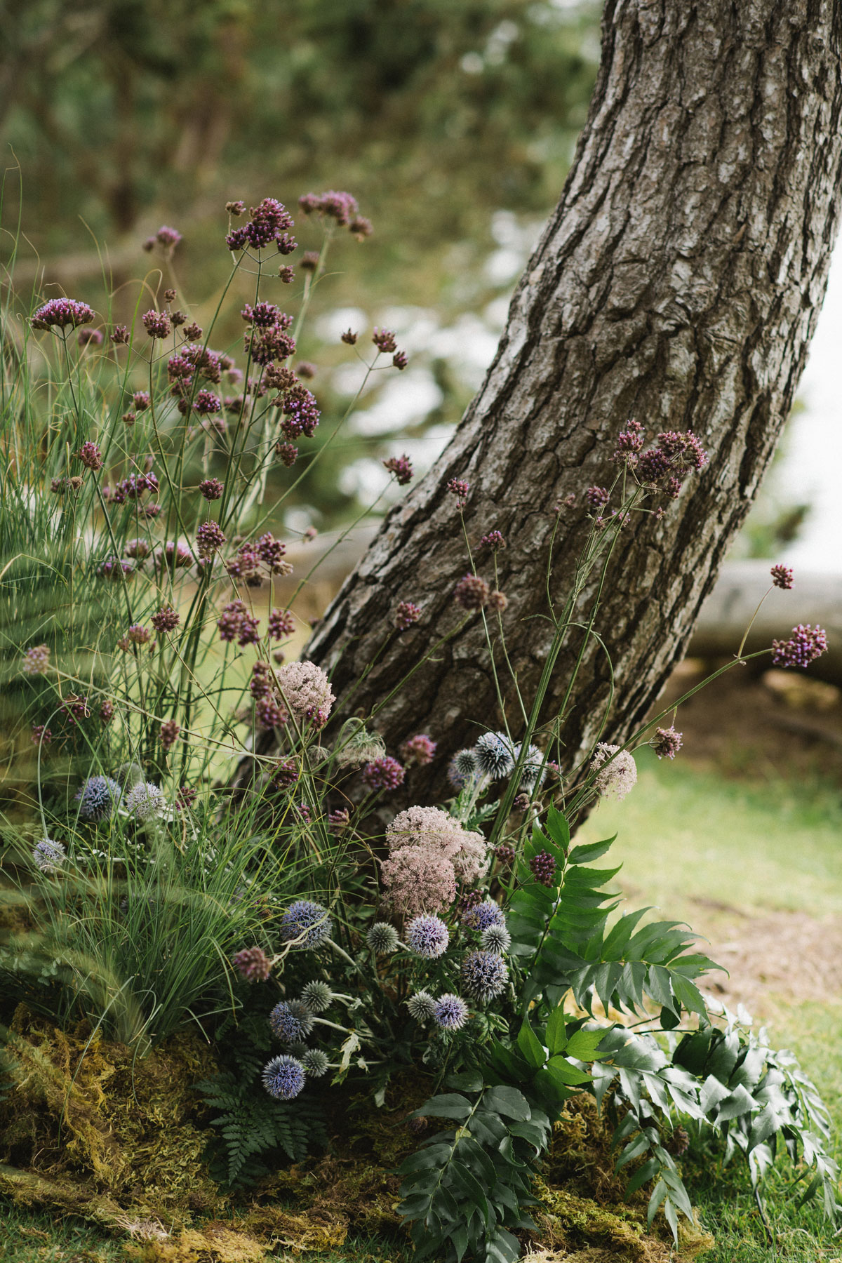 StudioMondine-Events_InTheClouds_022