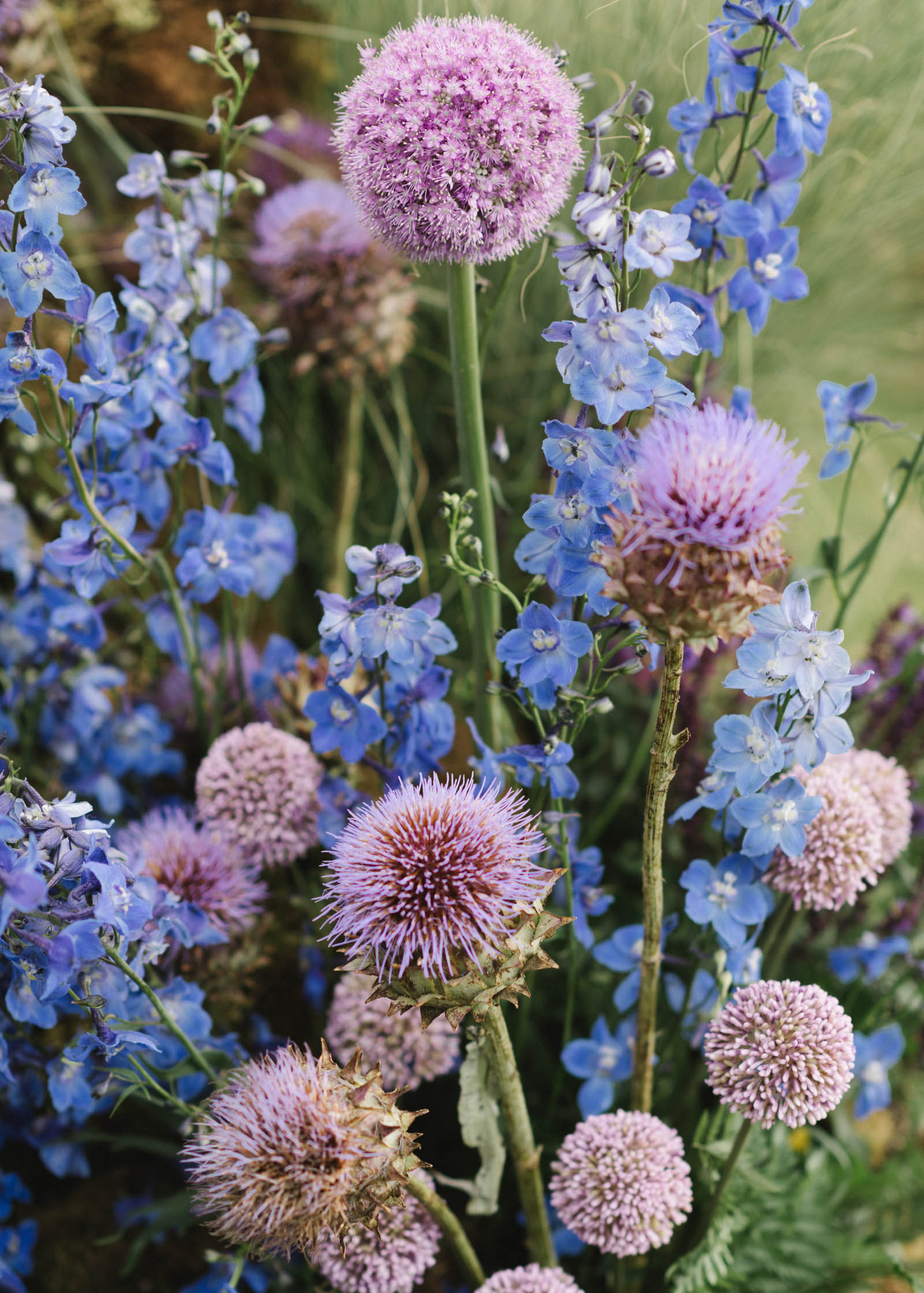 StudioMondine-Events_InTheClouds_024