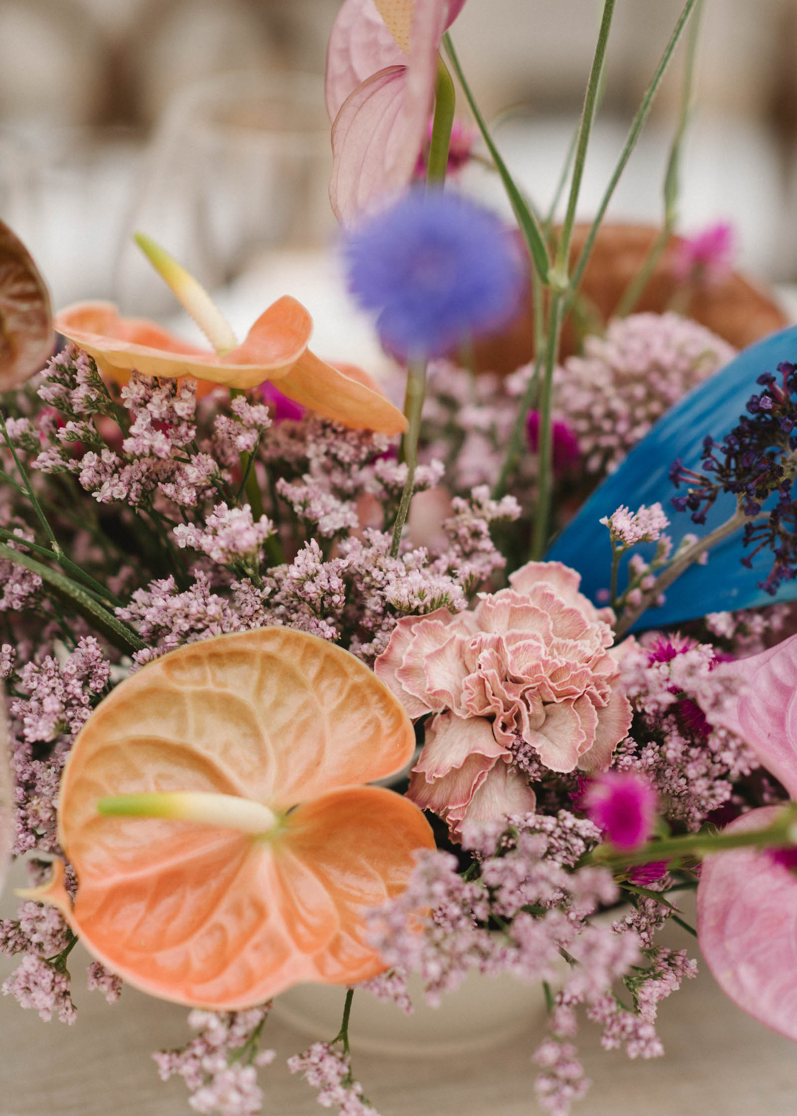 StudioMondine-Events_InTheClouds_037