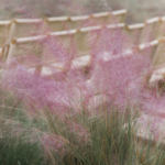 StudioMondine_Featured_01B