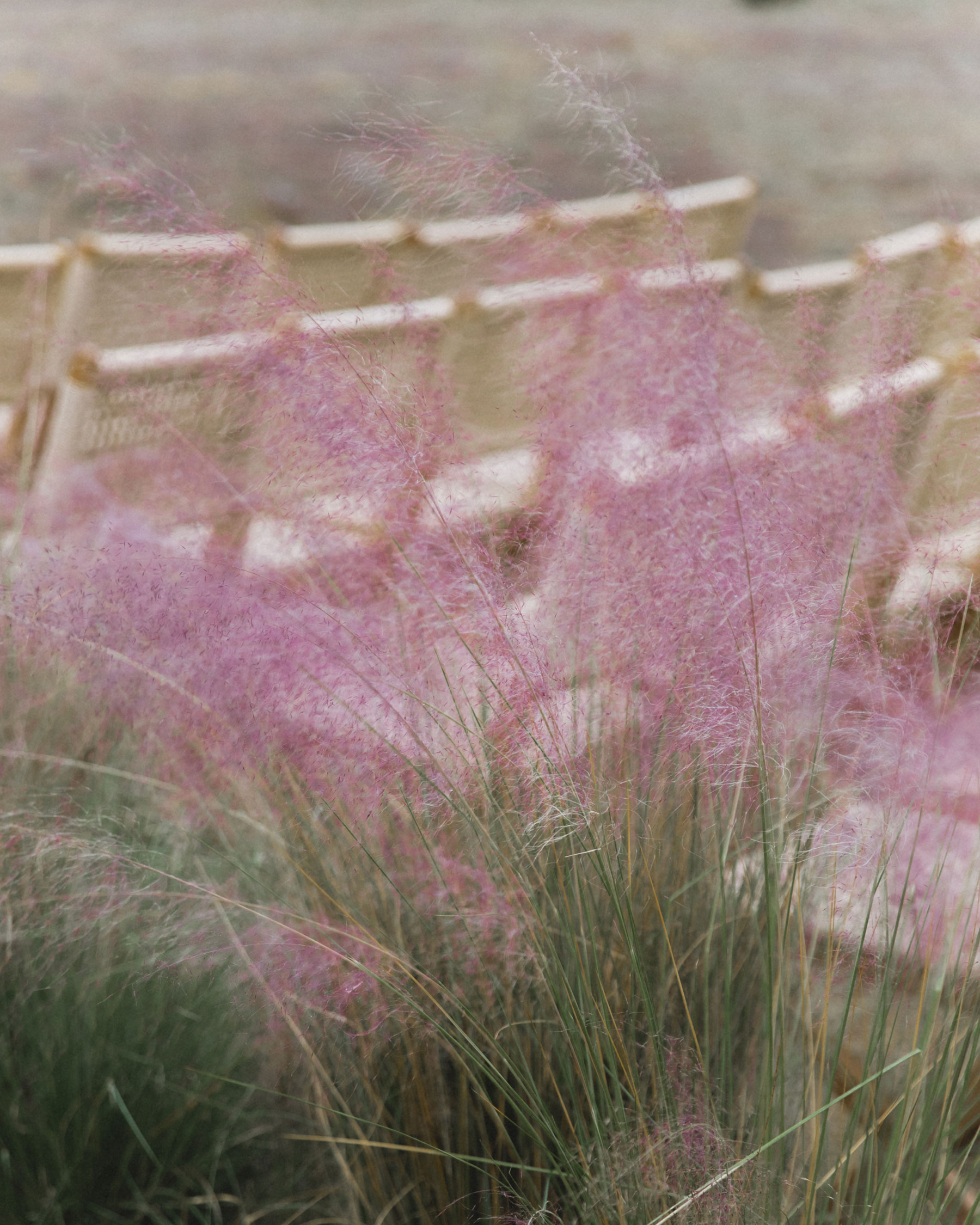 StudioMondine_Featured_01B