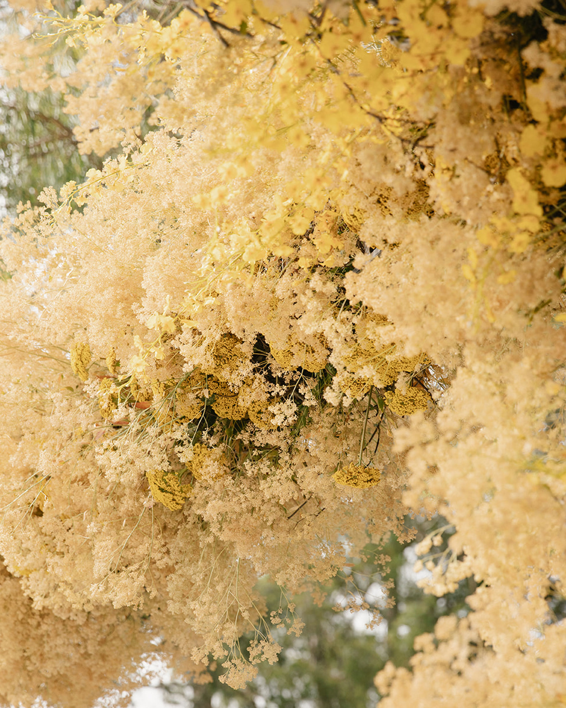 StudioMondine_Featured_02B